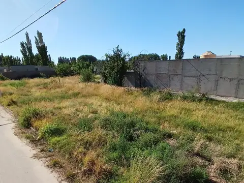 Terreno en Venta 37  mts Fondo