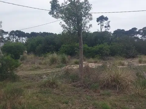 Avenida Central, Barrio Parque 100