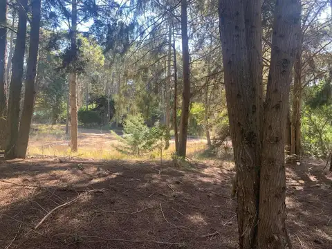 Terreno en venta - 1.484Mts2 - Cariló