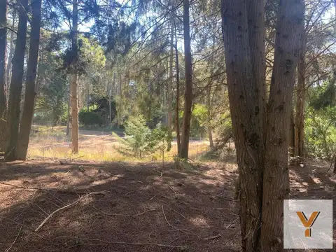 Terreno en venta - 1.484Mts2 - Cariló