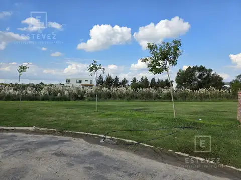 Lote interno con fondo a espacio verde común