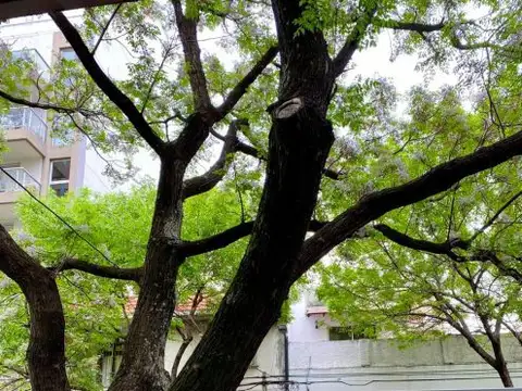 Departamento en Alquiler Temporal en Colegiales, USD 600