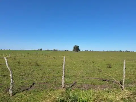 VENDO PARCELA DE 3 HECTÁREAS 