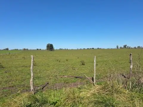 VENDO PARCELA DE 3 HECTÁREAS 