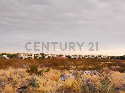 Terreno en Venta 12  mts Frente