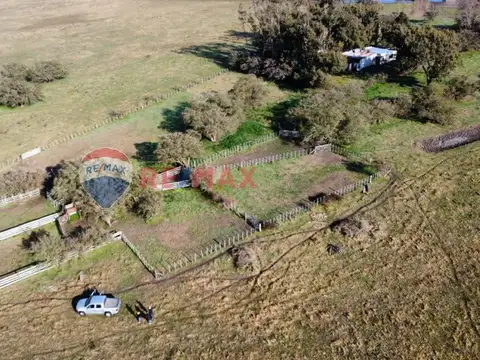 CAMPO VENTA SOBRE RUTA 11 GENERAL LAVALLE 392,6 HA