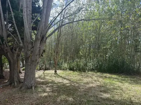 Terreno Aguas Verdes