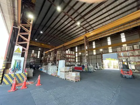 Otto Krausse al 4800