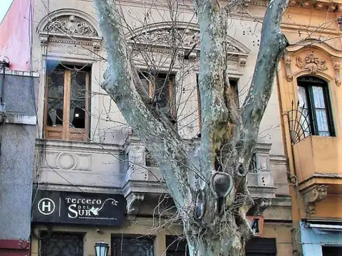 Venta Edificio en Block con Local Comercial