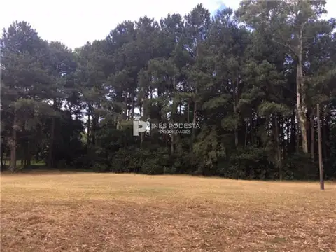 Campo en Venta Chacra