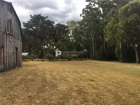 PROPIEDADES RURALES - CHACRA - PUNTA BALLENA