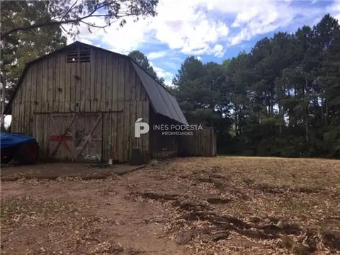 Campo en Venta de 2  ha