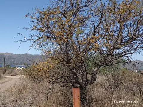 Terreno en Venta 25  mts Frente