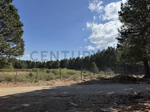 VENTA TERRENO SAN MARTIN DE LOS ANDES. CHAPELCO GOLF !