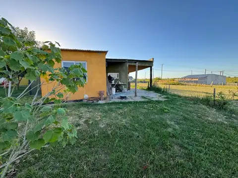 Verde horizonte