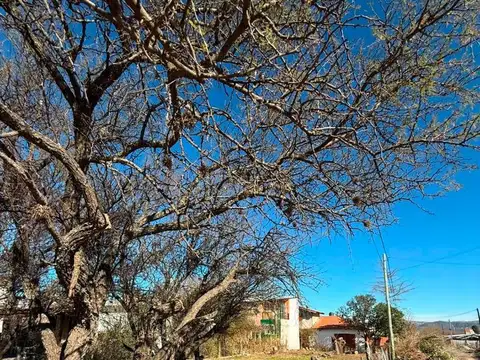 Villa De Soto