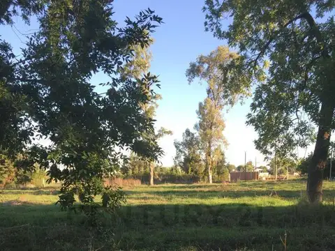 Terreno en Venta en La Plata, USD 12.000