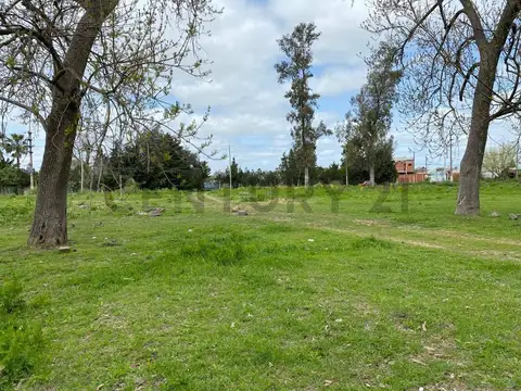 155 E/ 62 y 63 1400, Piso 0