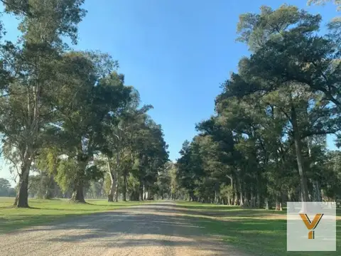 Terreno en Venta de 1015,0 m2