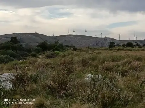 Ruta 39