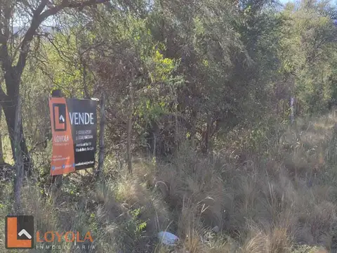 Vivirías en 3 Hectáreas de Bosque Virgen?