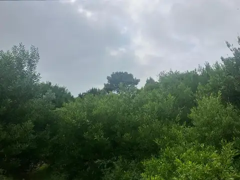 Terreno en Venta en Mar de las Pampas, Partido de Villa Gesell