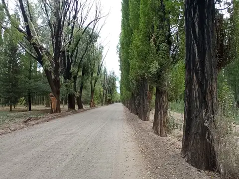 Ruta Provincial 52, Barrio Finca Las Chacras, Uspallata.