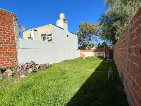 Terreno - Venta - Argentina, Bella Vista - Rio Negro 1485