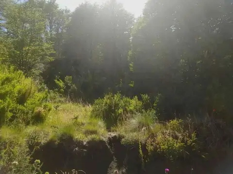 Terreno en Venta en San Martin de los Andes, USD 35.000