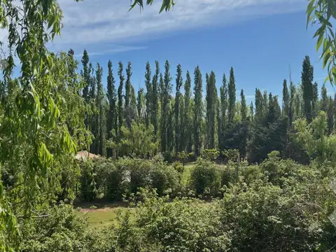 BARRIO PORTAL RIO COLORADO,- Carlos Pelegrini y Almirante Brown