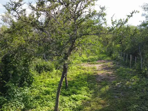 Terreno en Venta de 3500,0 m2