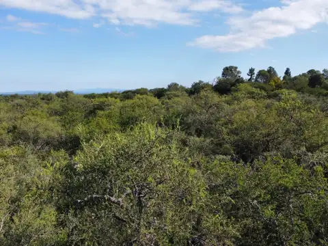 Terreno en Venta, FOT 0,3