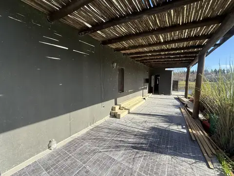 Kennedy al 100