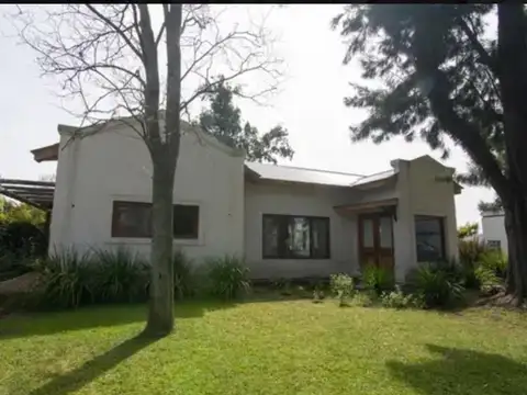 Los Potrillos - Fátima
