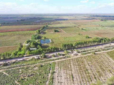 FINCA PRODUCTIVA 50ha VENTA EL CENTRAL SAN MARTIN