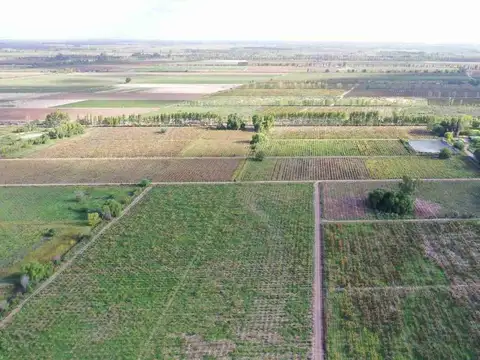 FINCA PRODUCTIVA 50ha VENTA EL CENTRAL SAN MARTIN