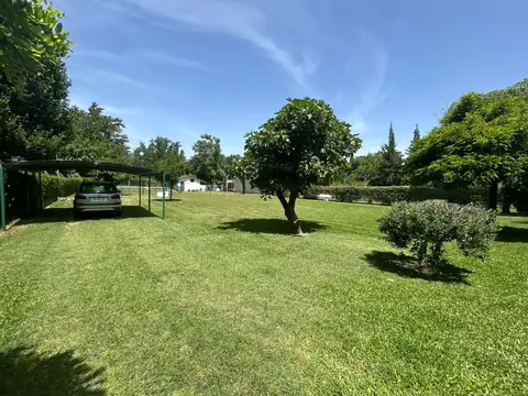 Leónardo Da Vinci 300