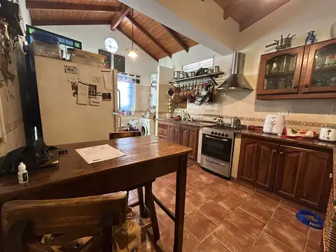 Leónardo Da Vinci 300