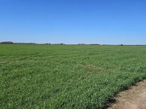 VENTA/CAMPO AGRICOLA/ RUTA NACIONAL 19/ SA PEREYRA