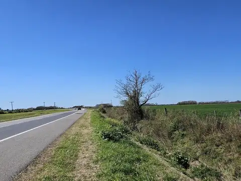 autovia ruta 19 100