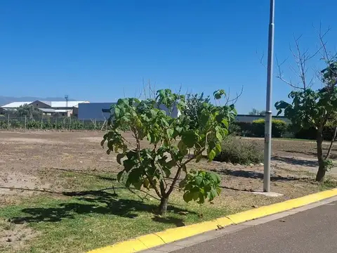 Terreno en Venta de 500,0 m2