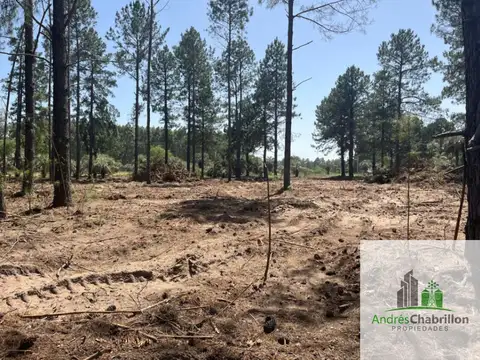 Terreno en Venta 72  mts Fondo