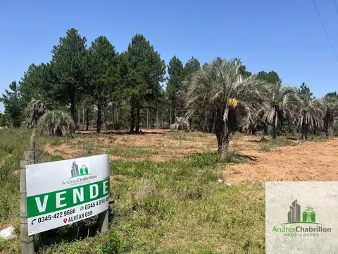 Terreno en venta de 10.000m2 camino a la Tortuga Alegre