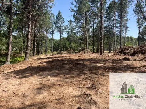 Terreno en Venta 72  mts Frente