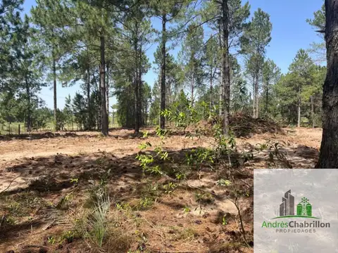 Terreno en Venta en Concordia, USD 120.000