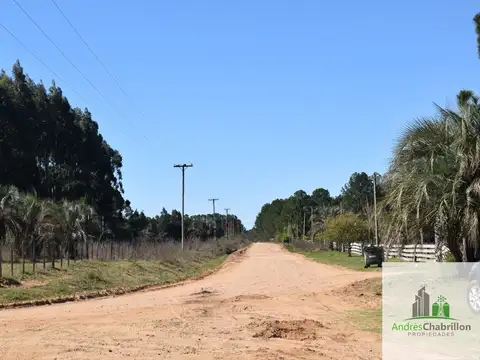 Terreno en Venta de 10000,0 m2