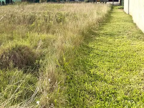 LEON TOLSTOI  al 300