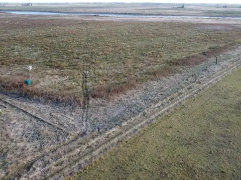 Campo de 130 ha en Salvador Maria