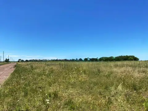 Terreno en Alquiler en Guernica, USD 5.000