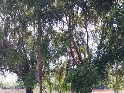 Terreno en Venta de 10,0 m2